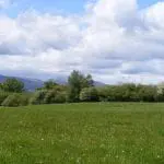 Galteemore