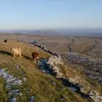 Marrinan, John 028