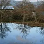 Shed-and-pond