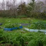 The-Living-Classroom-school-garden-space-on-farm