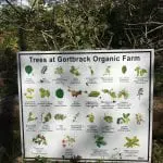 Trees-on-the-farm-sign