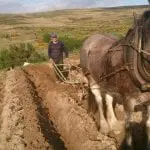 Ploughing