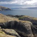 Harriet_Roach_seacliffs_farm