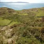 Harriet_farm_photo