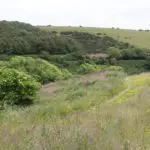 Robs farm
