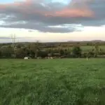 cavan-hills