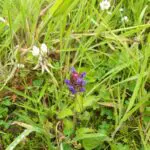 IMG-20240218-WA0000