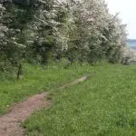 IMG-20240218-WA0001