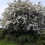 IMG-20240218-WA0002