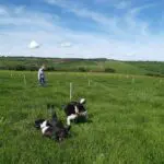 IMG-20240218-WA0004