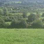 1000002872