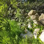 IMG-20250520-WA0008