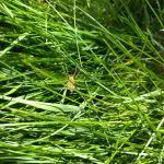 IMG-20250520-WA0022